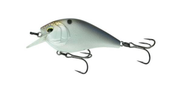 CRUSH 50X - 4K SHAD 3/8OZ